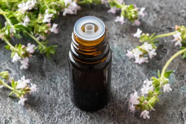 Una botella de aceite esencial de tomillo con tomillo en flor — Foto de Stock