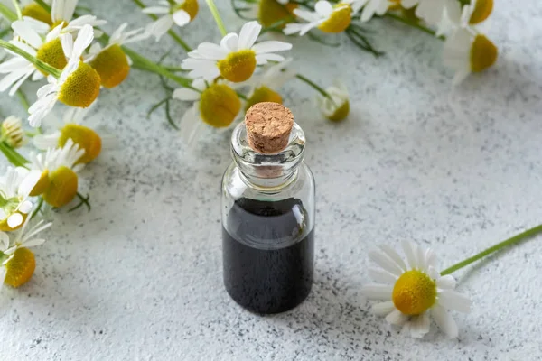 A bottle of chamomile essential oil with fresh chamomile flowers