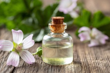 Taze Malva ihmalecta bitki ile Mallow esansiyel yağı bir şişe