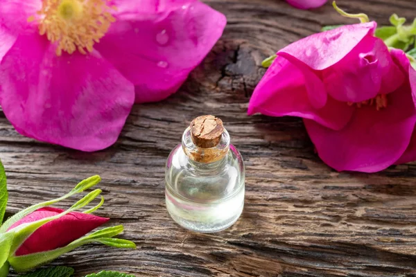 Een fles etherische olie met verse rugosa rozen — Stockfoto