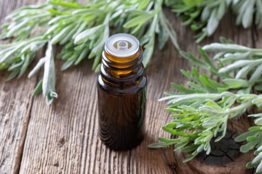 Taze Artemisia absinthi ile pelin esansiyel yağı bir şişe