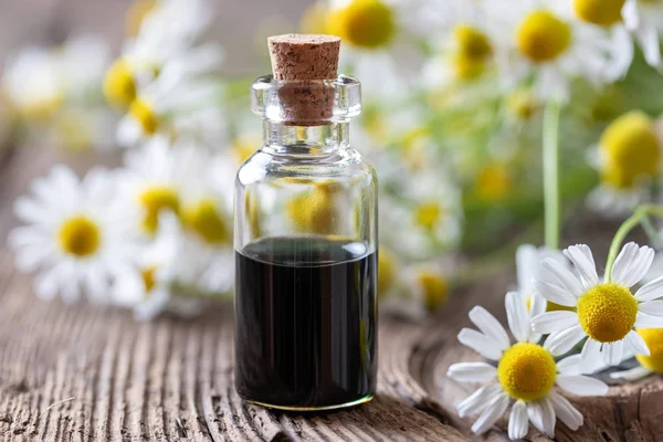 Een fles donker blauwe kamille etherische olie en bloemen — Stockfoto