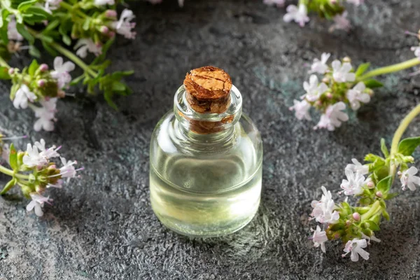 Una botella de aceite esencial de tomillo con tomillo fresco — Foto de Stock