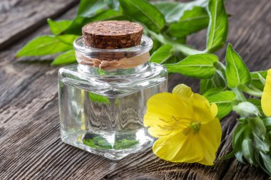 Taze çiçeklenme akşam pri ile akşam çuha çiçeği yağı bir şişe