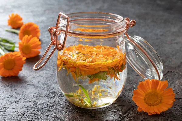 Preparação de tintura de flores de calêndula frescas — Fotografia de Stock