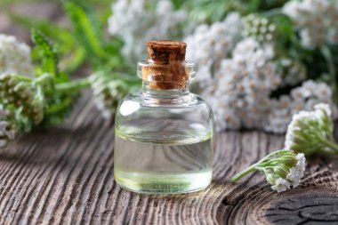 Bir şişe kiremit yağı ve taze kiremit.