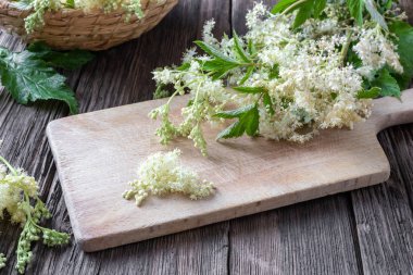 Meadowsweet masadaki çiçekleri