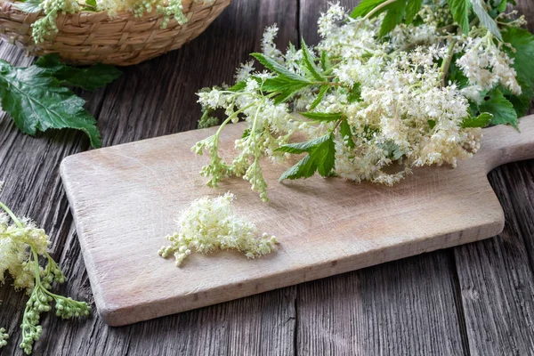 Meadowsweet masadaki çiçekleri