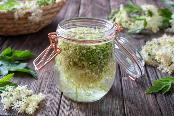 Tintura de Meadowsweet con pradera fresca — Foto de Stock