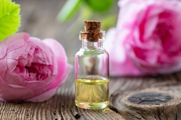 A bottle of rose essential oil with cabbage roses — Stock Photo, Image