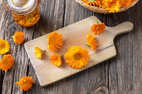 Preparazione di tintura a base di erbe da calendula fresca — Foto Stock