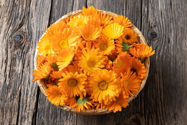 Календула цветы в плетеной корзине — стоковое фото