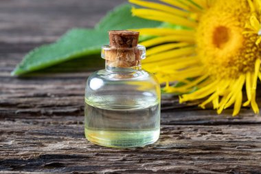 Taze bitkiyle birlikte gerekli bir şişe elektroampan yağı.