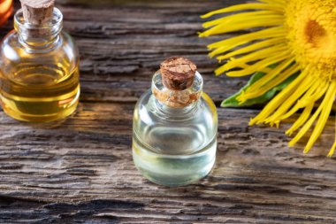 Taze bitkiyle birlikte gerekli bir şişe elektroampan yağı.