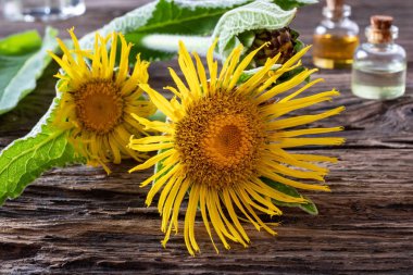 Taze seçilmiş çiçekler ve gerekli yağlar.