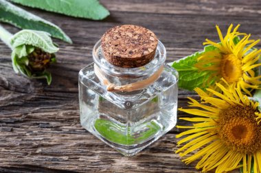 Taze bitkiyle birlikte gerekli bir şişe elektroampan yağı.