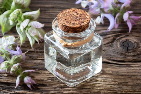 Бутылка эфирного масла шалфея с цветущим растением — стоковое фото