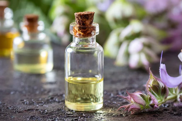 Een fles salie etherische olie met bloeiende plant — Stockfoto