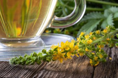 Detail of fresh agrimony plant, with tea in the background clipart