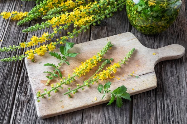 Preparation of tincture from fresh agrimony flowers — Stock Photo, Image