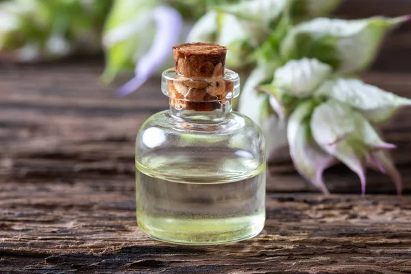 A bottle of clary sage essential oil with blooming plant — Stock Photo, Image
