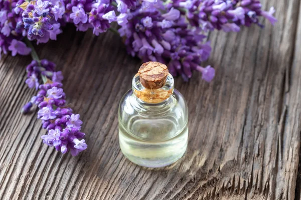 Une bouteille d'huile essentielle de lavande à la lavande fraîche — Photo