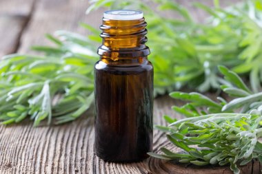 Taze Artemisia absinthi ile pelin esansiyel yağı bir şişe