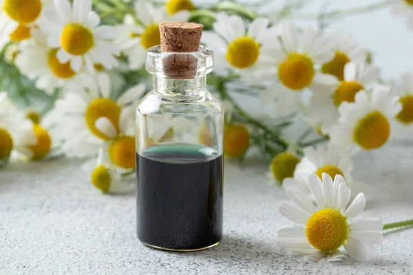 Una botella de aceite esencial de manzanilla azul oscuro y flores — Foto de Stock