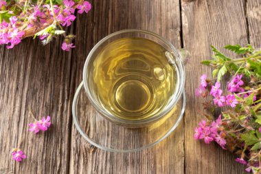 Geranium robertianum çiçekli bir fincan bitki çayı.