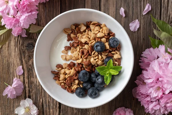 Frühstückszerealien mit Joghurt und Blaubeeren — Stockfoto
