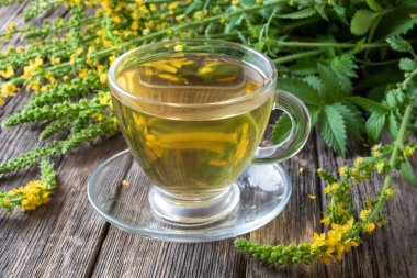 A cup of agrimony tea with fresh agrimony plant clipart