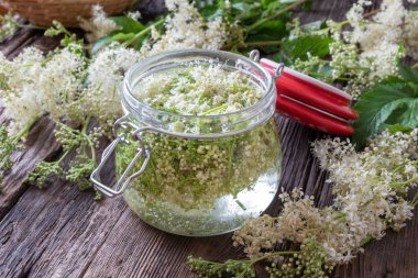 Meadowsweet çiçekleri tentür hazırlama