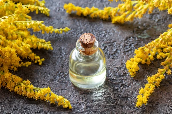 Пляшка золотистої ефірної олії та свіжих рослин — стокове фото