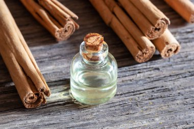 Saeylon tarçın çubuklu bir şişe temel yağ.