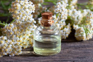 Çiçek açan civanperçemi ile civanperçemi esansiyel yağı bir şişe