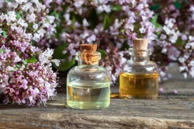 Çiçeklenme kekik dallar ile esansiyel yağ bir şişe