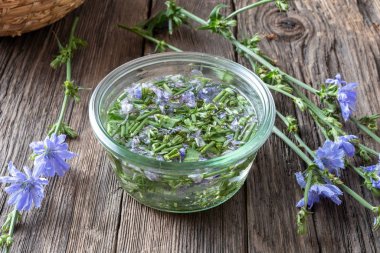 Ortak hindiba dallarından tentür hazırlanması