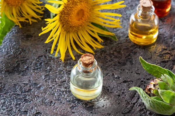 Botellas de aceite esencial con planta de páncreas fresco — Foto de Stock