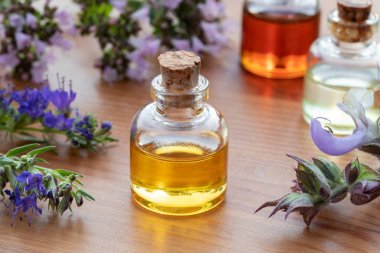 Hyssop ile esansiyel yağ şişeler, adaçayı, kekik