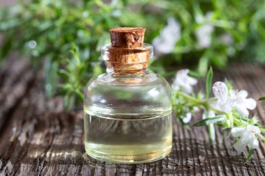 Dağ kokulu esans taze Satureja mo ile bir şişe