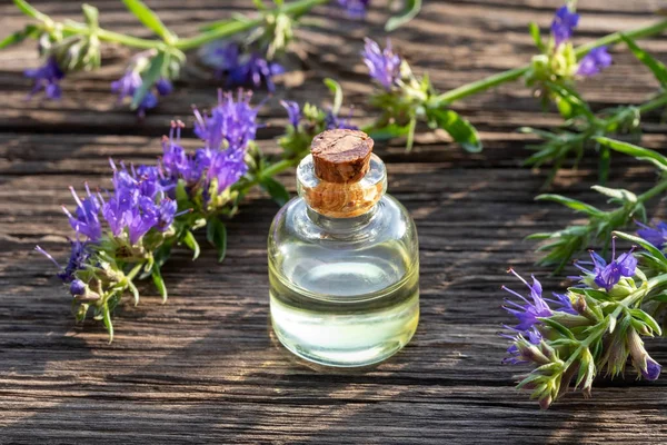 Een fles etherische olie met bloeiende hysop — Stockfoto