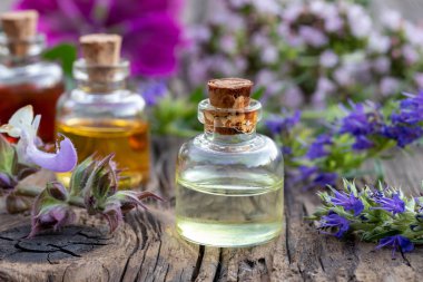 Çördük ve Clary Sage ile esansiyel yağ bir şişe