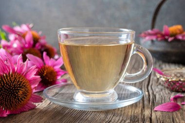 Taze Ekinezya çiçekleri ile bir fincan bitkisel çay