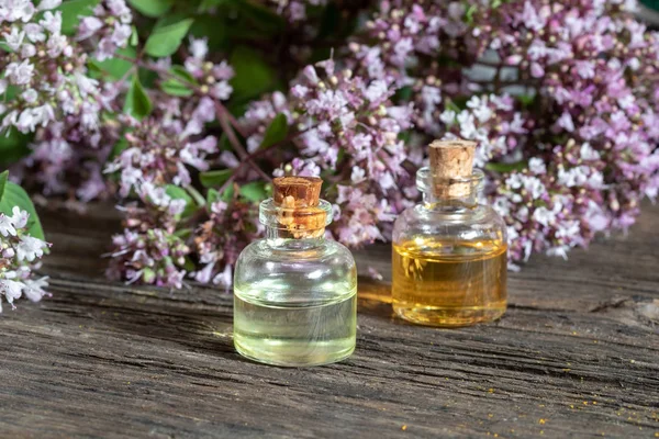 Bottiglie di olio essenziale con origano fresco in fiore — Foto Stock