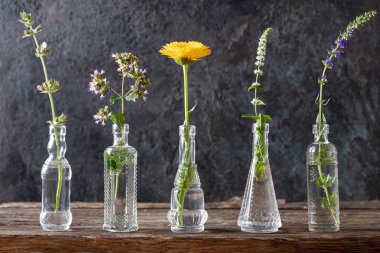 Cam içinde klary adaçayı, kekik, Calendula, nane ve çördük b