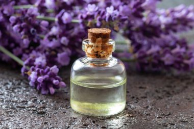 Lavanta uçucu yağ bir şişe