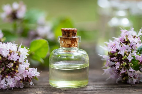 Een fles etherische olie met bloeiende oregano — Stockfoto