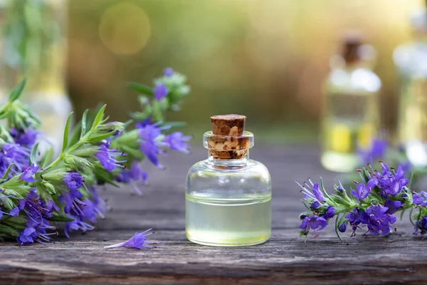 Una botella de aceite esencial de hisopo con hisopo en flor — Foto de Stock