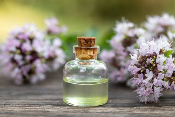 A bottle of essential oil with blooming oregano — Stock Photo, Image