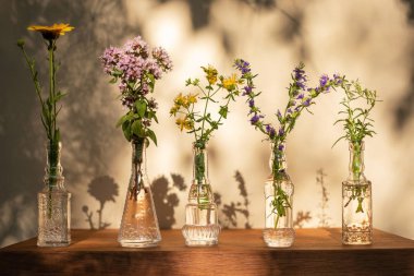 Cam şişelerde şifalı otlar karışımı